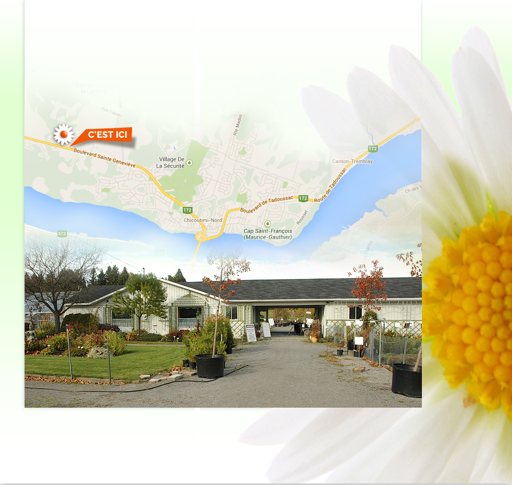 Domaine De L'Horticulture De Chicoutimi Inc photo 8